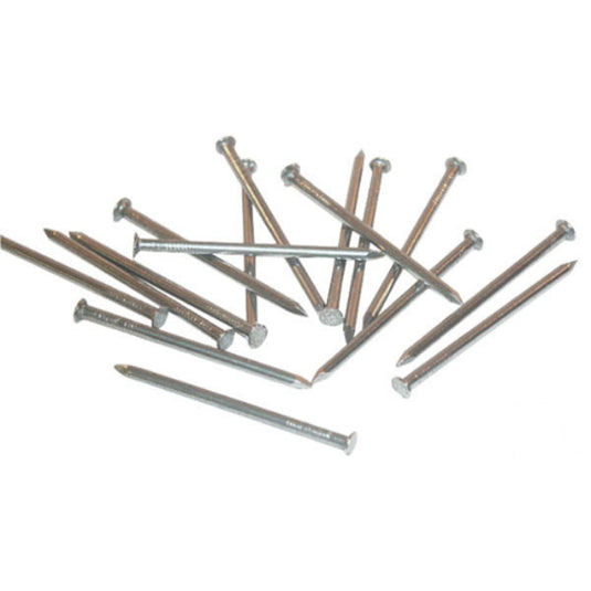 Producten spijkers ruitkop blank 5kg 2 2x45