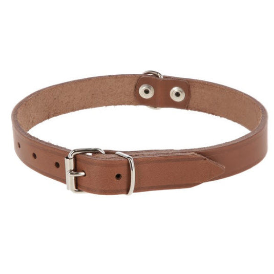 Producten hondenhalsband leer 10mm taupe