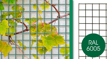 Giardino producten bologna draadpaneel 5x5cm x 150cm x 60cm ral 6005 groen