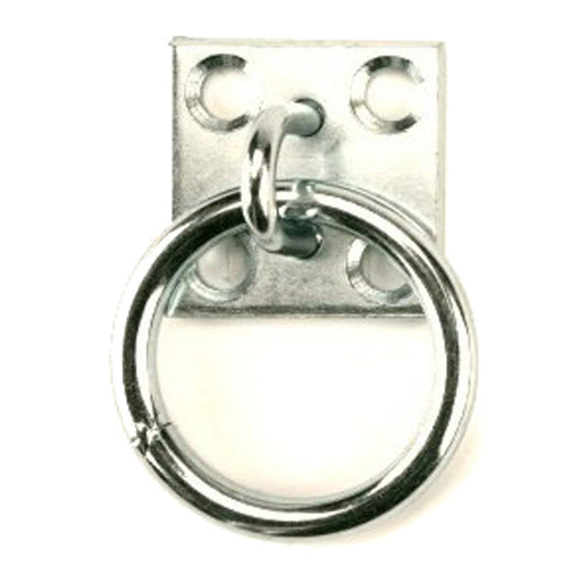 Producten muurplaat met ring 8mm verzinkt