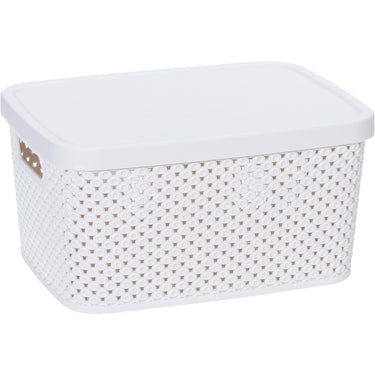 Storage solutions opbergdoos met deksel 3,5 liter 23x17x12cm kunststof 4ass