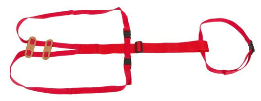 Producten lijfbieder bandage prolapsbandage voor schapen