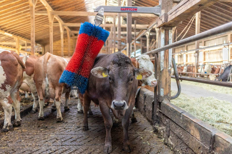 Afbeelding laden in galerijviewer, Producten happycow veeborstel freemaxi

