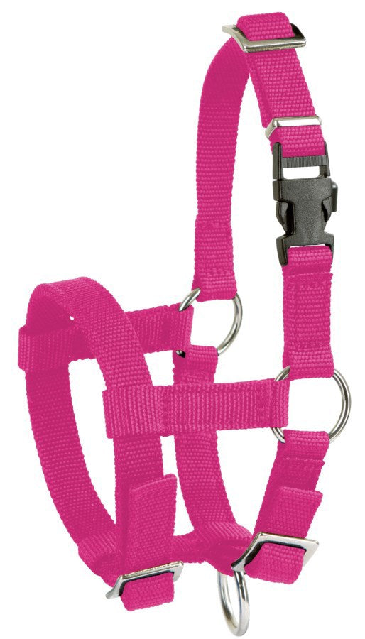 Producten alpaca halster roze
