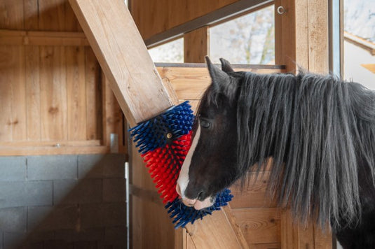Producten halfronde koeborstel veeborstel blauw rood xl
