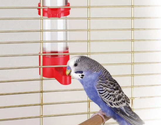Afbeelding laden in galerijviewer, Kerbl producten vogeldrinkbak 16 cm 130 ml
