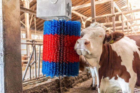 Afbeelding laden in galerijviewer, Happycow koeborstel midiswing
