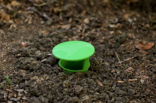 Afbeelding laden in galerijviewer, Slakkenval snailbowl 15cm
