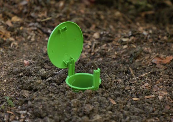 Afbeelding laden in galerijviewer, Slakkenval snailbowl 15cm
