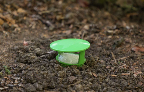 Afbeelding laden in galerijviewer, Slakkenval snailbowl 15cm
