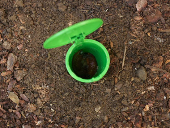 Afbeelding laden in galerijviewer, Slakkenval snailbowl 15cm
