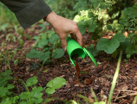 Afbeelding laden in galerijviewer, Slakkenval snailbowl 15cm
