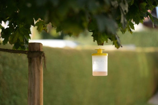 Afbeelding laden in galerijviewer, Kerbl vliegenval flycage3
