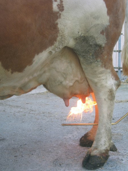 Afbeelding laden in galerijviewer, Preventa producten uieronthaarder mobiel voor kleine gasbus
