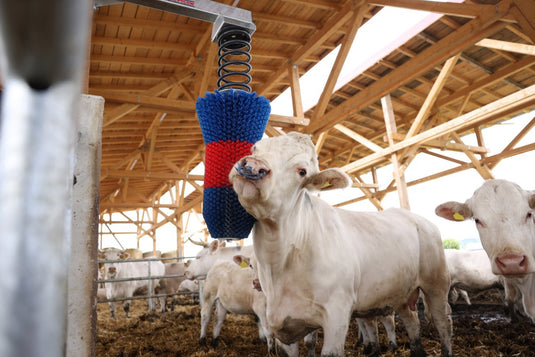 Producten happycow veeborstel flexiswing