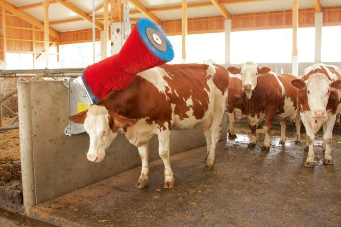 Afbeelding laden in galerijviewer, Producten happycow koeborstel uno horizontaal
