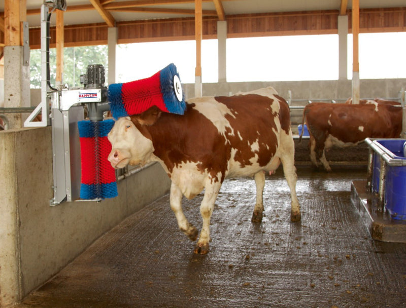 Afbeelding laden in galerijviewer, Producten happycow koeborstel duo

