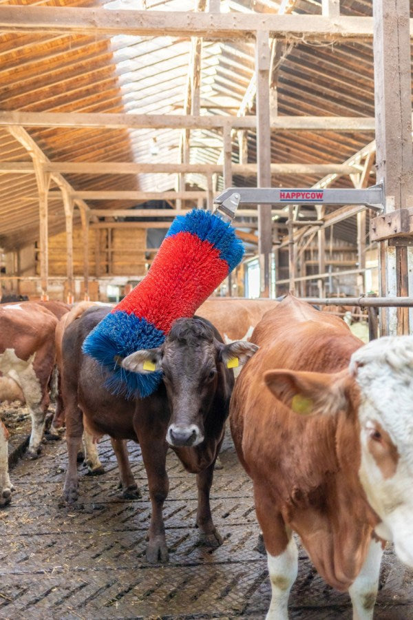 Afbeelding laden in galerijviewer, Producten happycow veeborstel freemaxi
