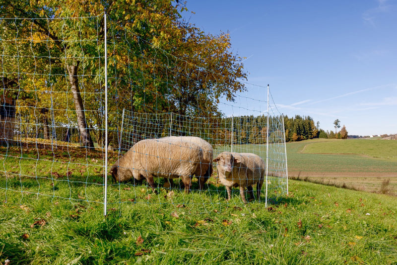 Afbeelding laden in galerijviewer, Ako producten schapennet ovinet blauw wit 170cm x 25m dubbele pen
