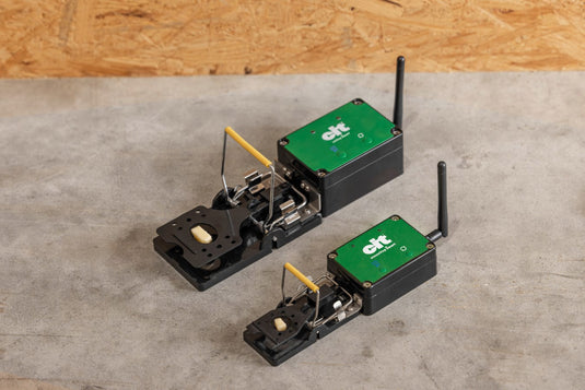 Producten rattenval smart cit ratstop
