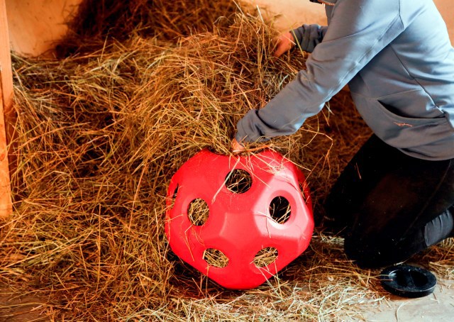Afbeelding laden in galerijviewer, Producten voeder speel bal rood
