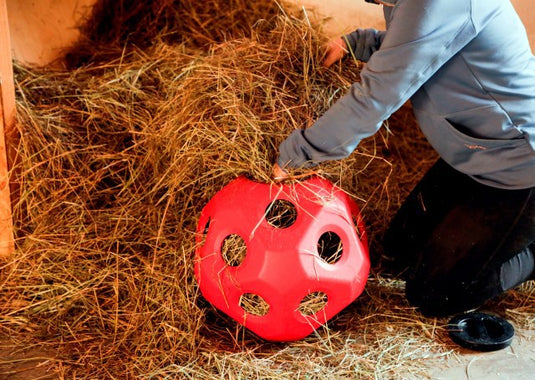 Producten voeder speel bal rood