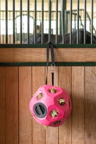 Producten voeder speel bal roze