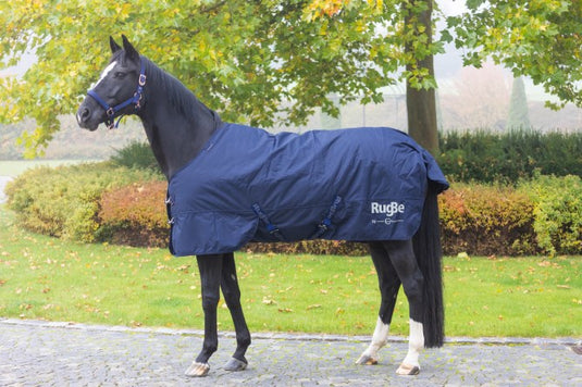 Abi producten paardendeken winter rugbe iceprotect 300 145cm 195cm