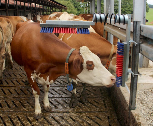 Producten veeborstelset kerbl