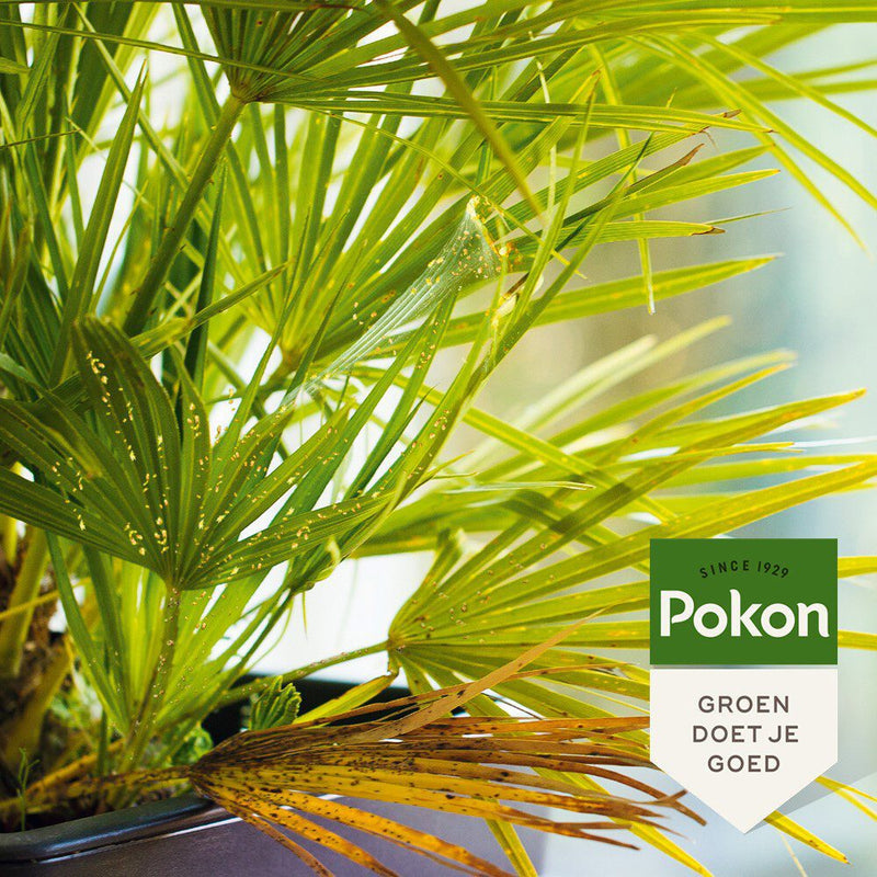Afbeelding laden in galerijviewer, Pokon producten bio tegen hardnekkige insecten concentraat 175ml poly

