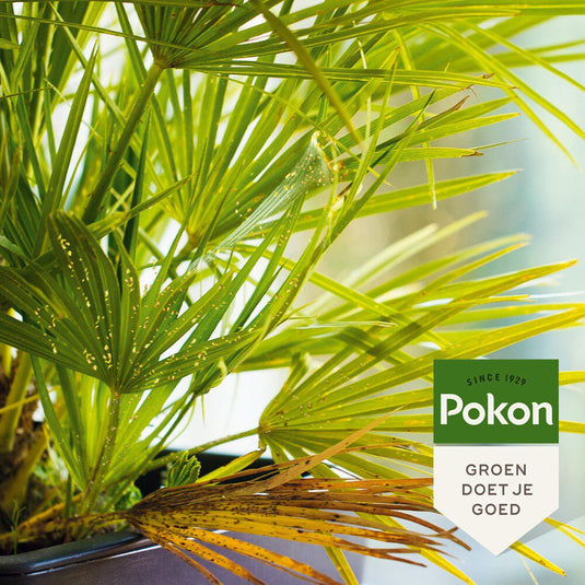 Pokon producten bio tegen hardnekkige insecten concentraat 175ml poly