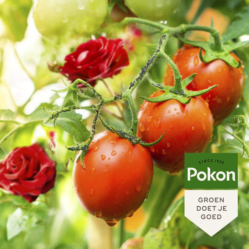 Afbeelding laden in galerijviewer, Pokon producten bio tegen insecten concentraat 225ml polysect gyo
