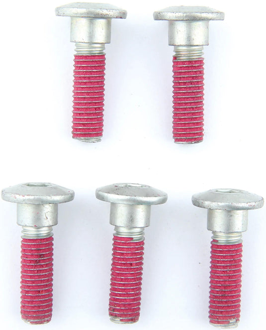 Trw bouten-set screw set 5pcs. m8x1,25