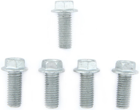 Trw bouten-set screw set 5pcs. m8x1,25