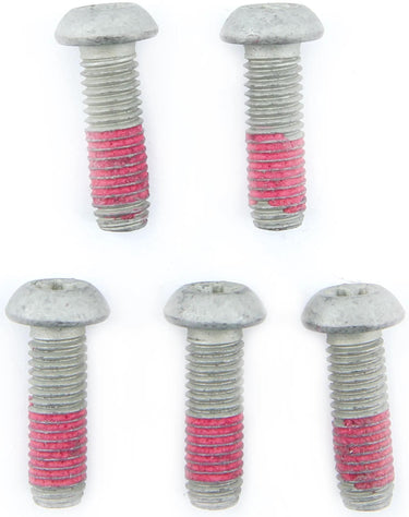 Trw bouten-set screw 5pcs. for brake rotors,5 pcs.