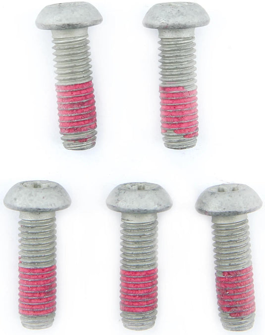 Trw bouten-set screw 5pcs. for brake rotors,5 pcs.