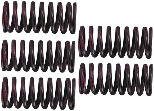 Trw koppelingsveer set mef3 clutch spring kit mef316-5