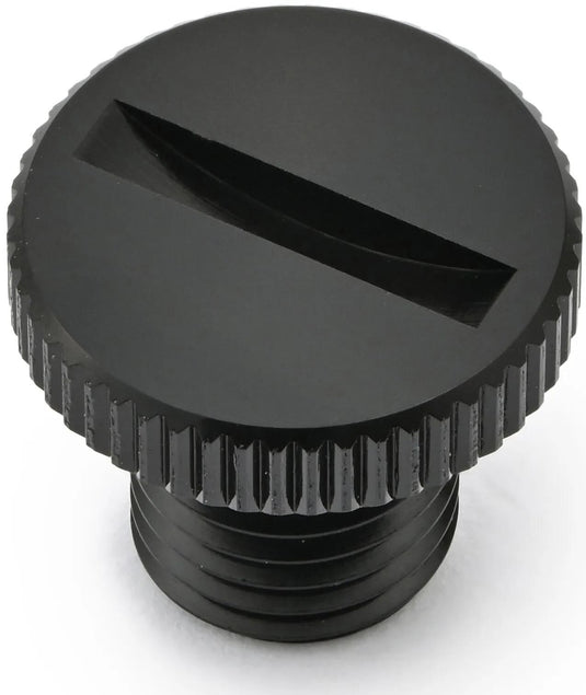 Daytona afsluitbout mirror shutter sw gw re m10x1.25
