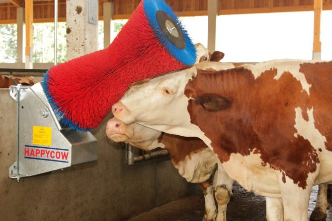 Afbeelding laden in galerijviewer, Producten happycow koeborstel uno horizontaal
