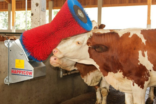 Producten happycow koeborstel uno horizontaal