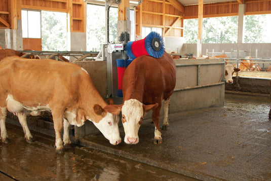 Producten happycow koeborstel duo