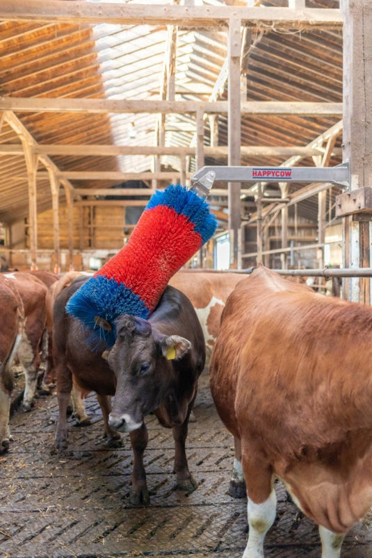 Producten happycow veeborstel freemaxi