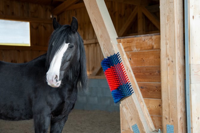 Afbeelding laden in galerijviewer, Producten halfronde koeborstel veeborstel blauw rood xl
