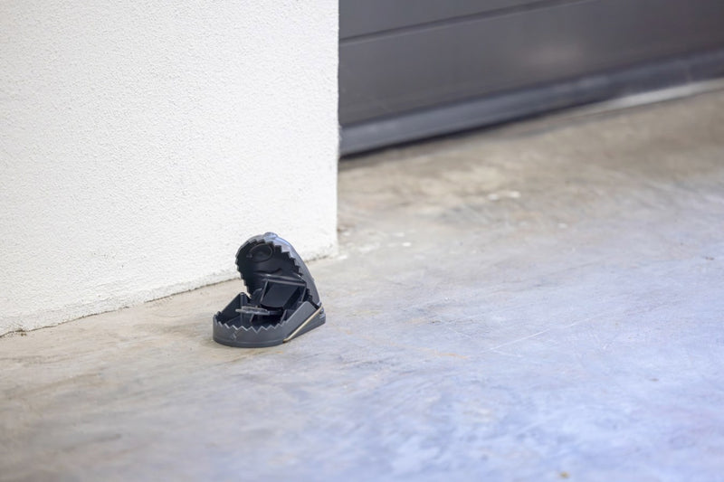 Afbeelding laden in galerijviewer, Producten rattenval kunststof cit ratstop
