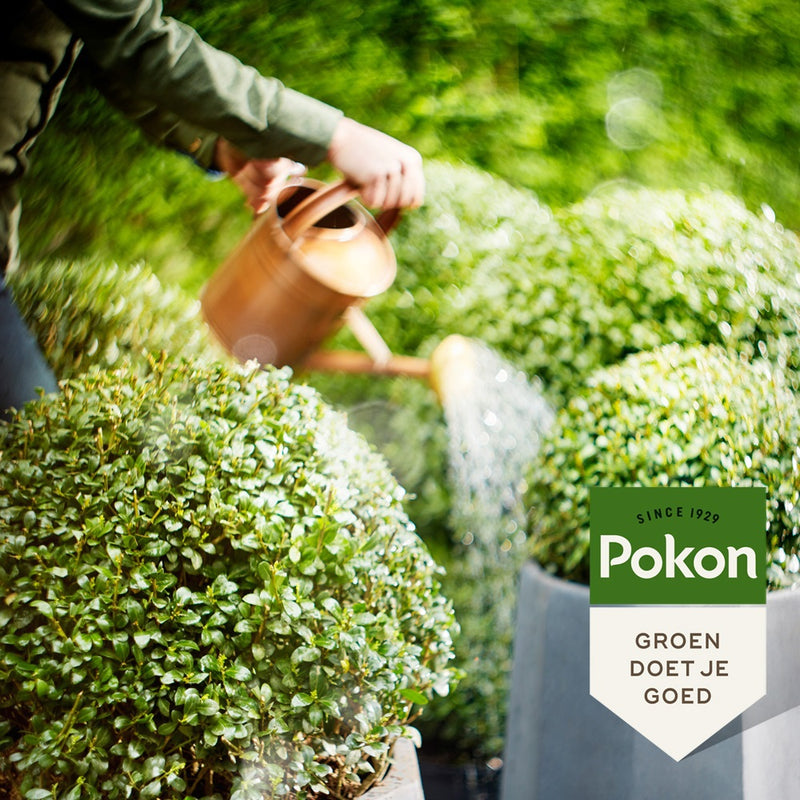 Afbeelding laden in galerijviewer, Pokon producten bio buxus ilex voeding 500 ml
