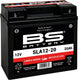 Bs-battery batterij 12-20 battery 12-20 bs sla garden