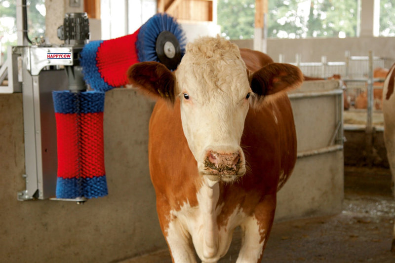 Afbeelding laden in galerijviewer, Producten happycow koeborstel duo
