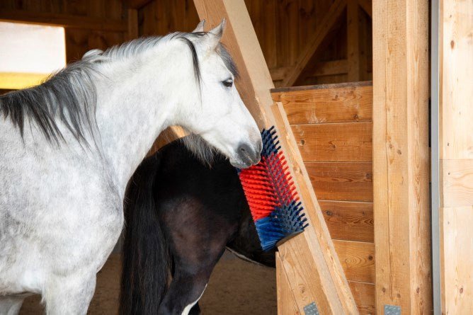 Afbeelding laden in galerijviewer, Producten halfronde koeborstel veeborstel blauw rood xl
