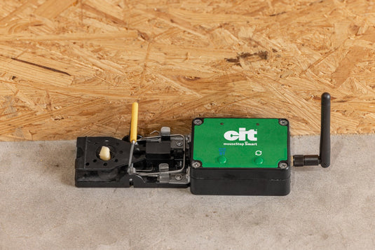 Producten muizenval smart cit mousestop
