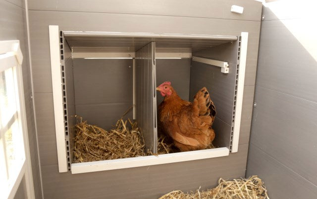 Afbeelding laden in galerijviewer, Producten kippenhok eco stal kunststof barney
